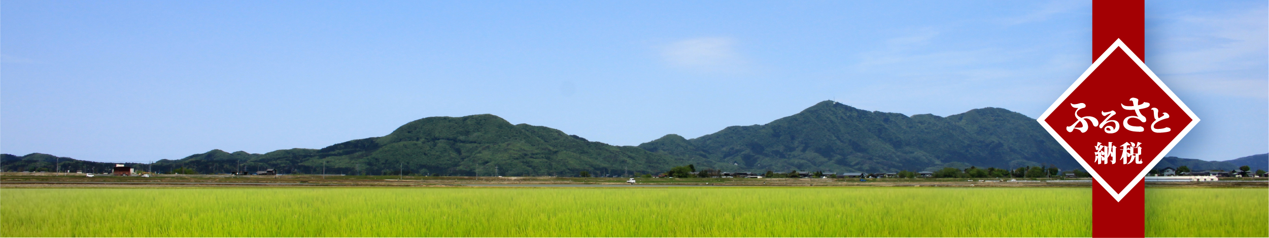 ふるさと納税