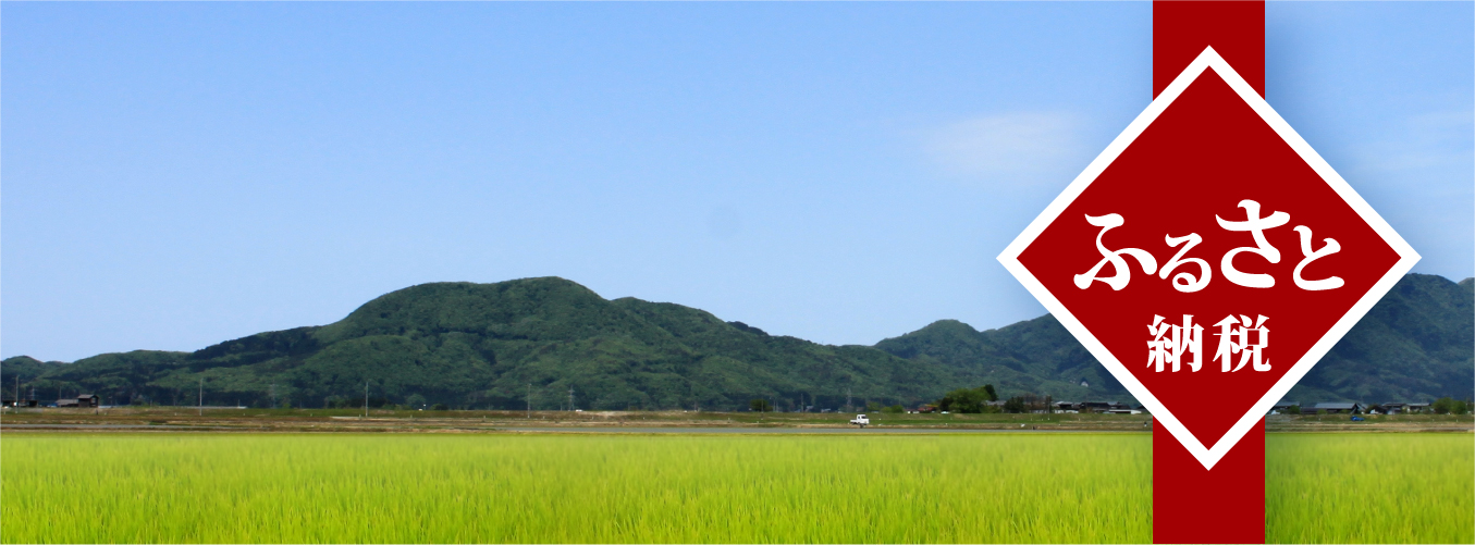 ふるさと納税